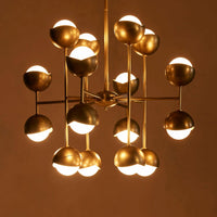 SEED CHANDELIER